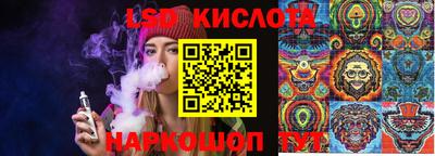 дмт Владимир
